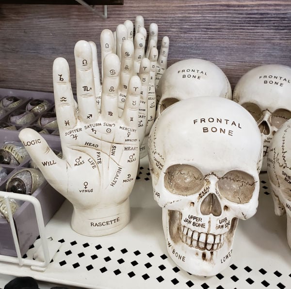 2018 Michaels Hallowen tabletop skull head and palmistry hand