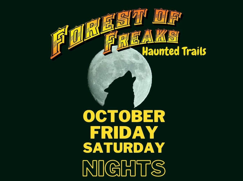 Forest of Freaks - Janesville