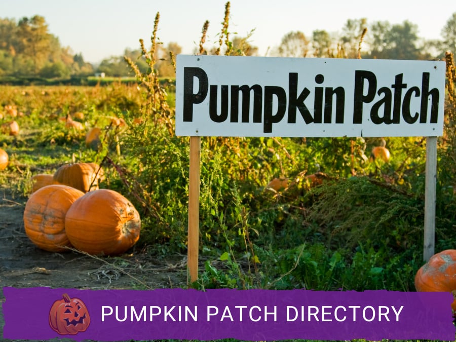Wisconsin Pumpkin Patches