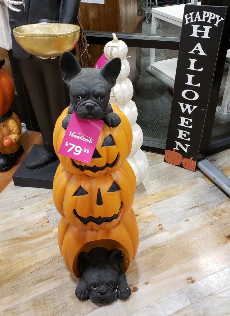 Puppies in a Pumpkin